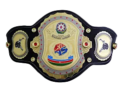 Чемпионский пояс для Ильхама Алиева