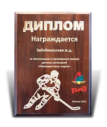 Диплом "Хоккей" 