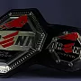 Чемпионский пояс